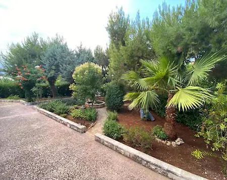 Villa Adelaide Ceglie Messapica Bagian luar foto