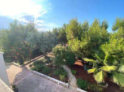 Villa Adelaide Ceglie Messapica Bagian luar foto