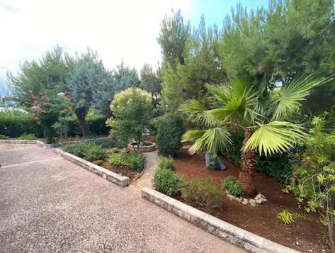 Villa Adelaide Ceglie Messapica Bagian luar foto